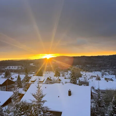 Apartament Kleine - Naehe Schweizergrenze